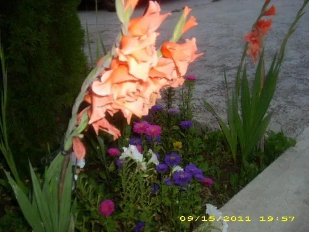 Villa Maria Country Inn Acheson Canada